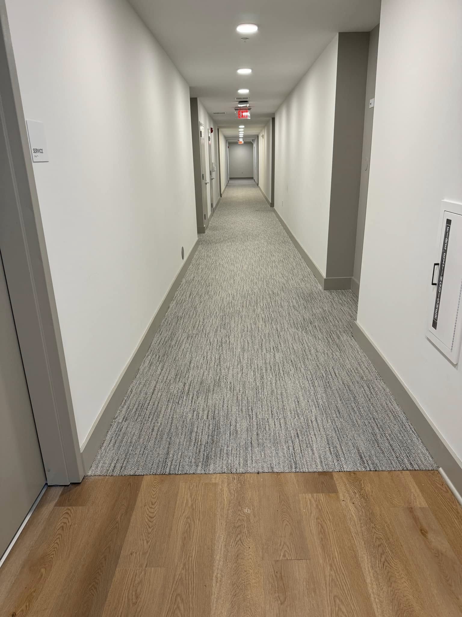 Carpet Cleaning