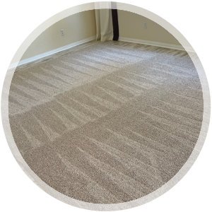 Carpet Cleaning Service Icon