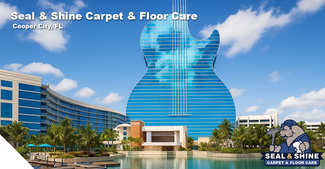 cleaning services in ventura