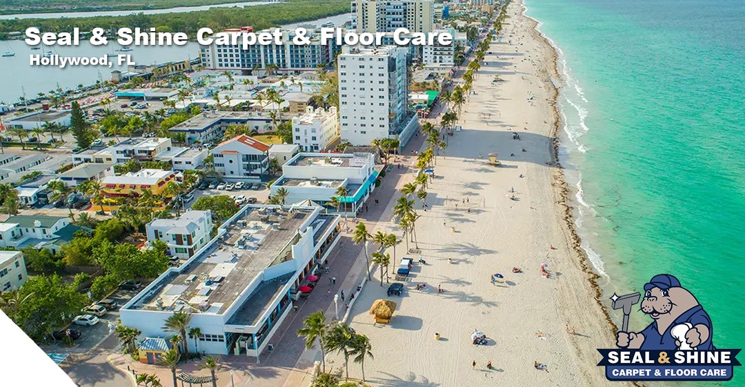 cleaning services in ventura