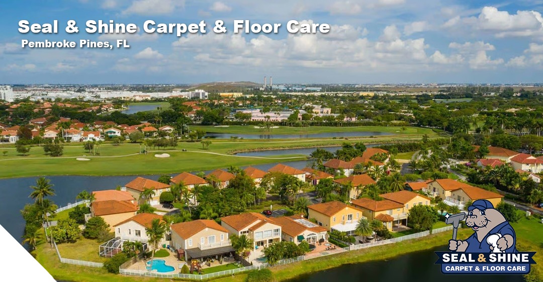 cleaning services in ventura