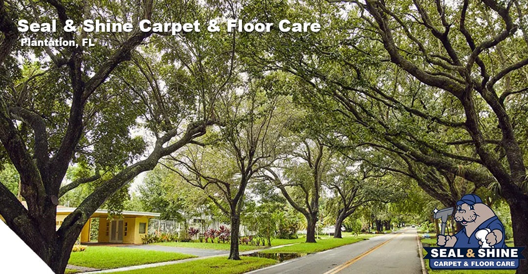 cleaning services in ventura